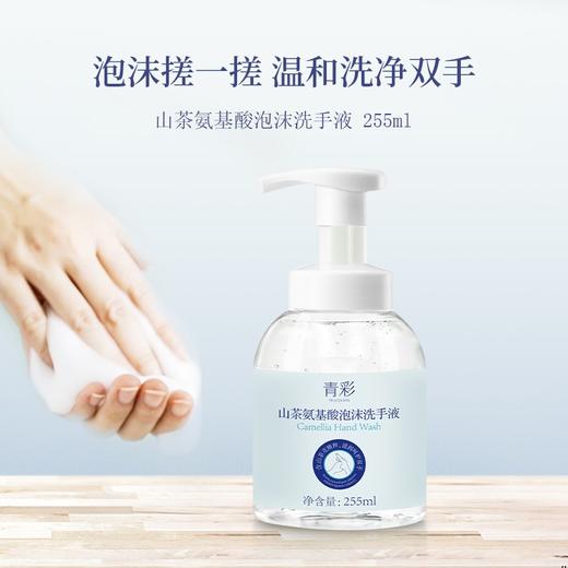 青彩山茶氨基酸泡沫洗手液 植物精粹滋润呵护双手保湿 255ml/瓶 商品图3