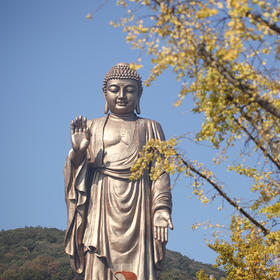 灵山大佛简介