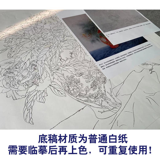 【有步骤】王震工笔画白描底稿斗方小品《天下谁人不识君》古瓶初学者临摹花鸟线稿WZ02 商品图3