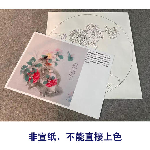 【有步骤】王震工笔画白描底稿圆形小品《踏春泥》山茶花初学者临摹花鸟线稿WZ27 商品图1