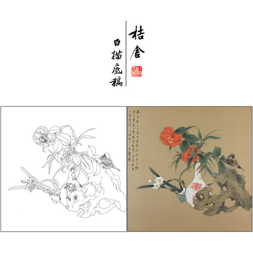 【有步骤、大彩图】王震工笔画白描底稿博古斗方小品《清供（冬）》花瓶初学者临摹花鸟线稿WZ33 商品图0