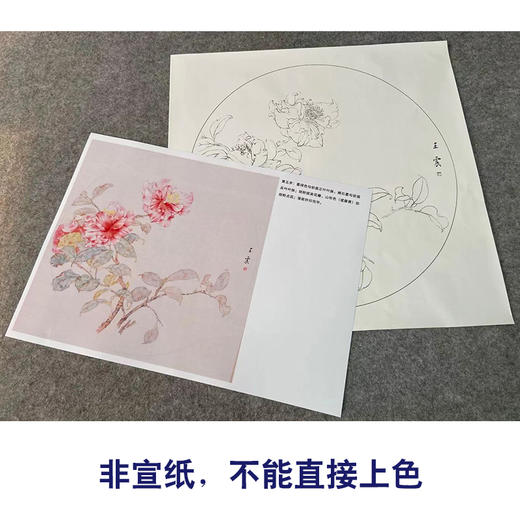 【有步骤】王震工笔画白描底稿圆形小品《茶花图》初学者临摹花鸟线稿WZ24 商品图1