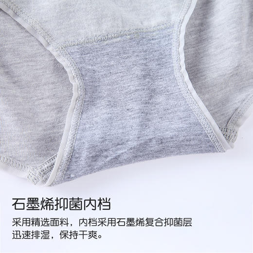 【胖妞也可以穿的内裤】石墨烯安全内裤 普通厚度 秋冬季适合穿着 商品图1
