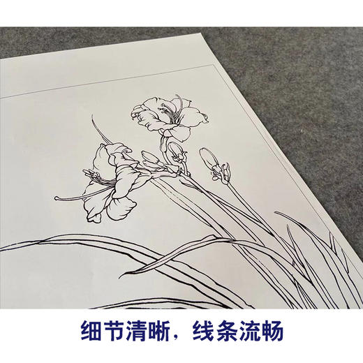【有步骤】王震工笔画白描底稿斗方小品《忘忧》萱草初学者临摹花鸟线稿WZ22 商品图4