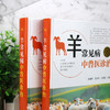 羊常见病中兽医诊治 商品缩略图3