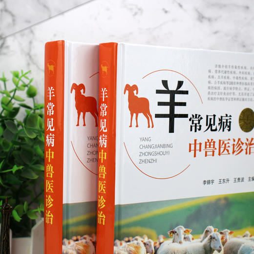 羊常见病中兽医诊治 商品图3