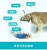 卫仕 犬用微量元素 160片/400片/瓶 商品缩略图4