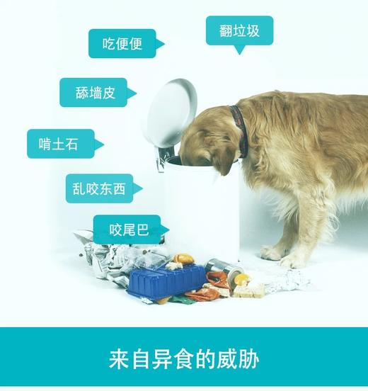 卫仕 犬用微量元素 160片/400片/瓶 商品图4
