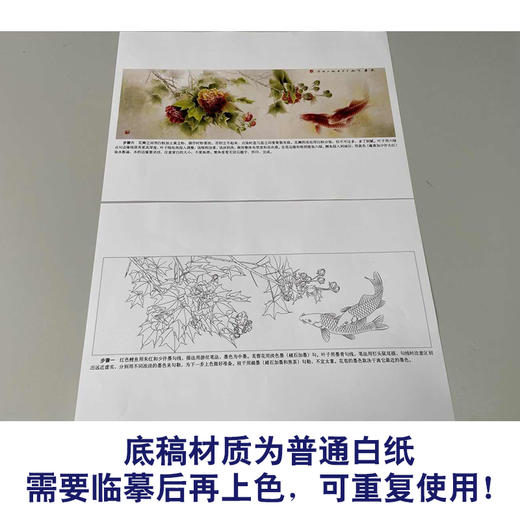 【有步骤、大彩图】龚雪青横幅工笔画白描底稿芙《荣华有余图》蓉鲤鱼图初学者临摹花鸟线稿XQ96 商品图3