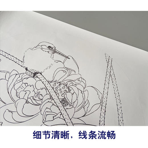 【有步骤】龚雪青工笔画白描底稿圆形小品《荷花翠鸟图》初学者临摹花鸟线稿XQ93 商品图4