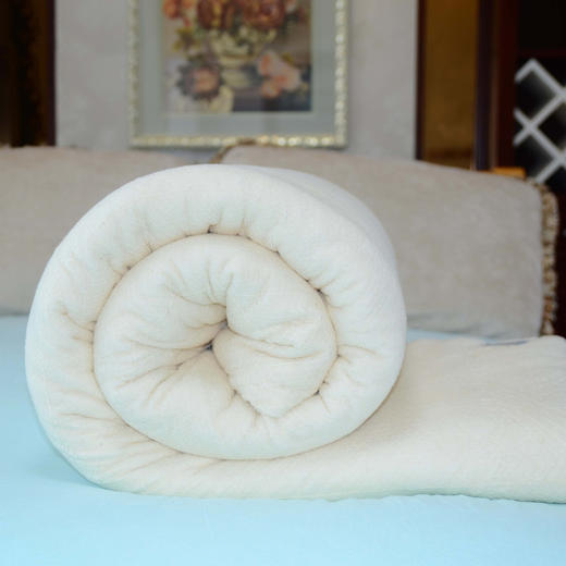 【床上用品】-新疆棉花被芯被子棉被棉絮褥子 加厚秋冬盖被 商品图2