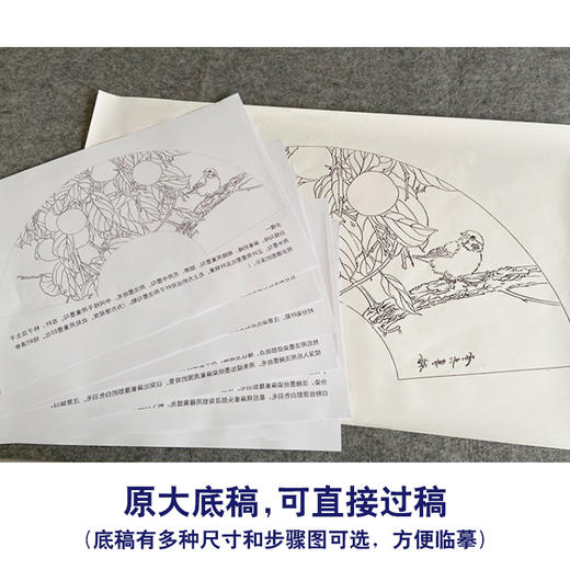 【有步骤、大彩图】龚雪青工笔画白描底稿扇面小品《雀柿如意》柿子麻雀初学者临摹花鸟线稿XQ90 商品图1