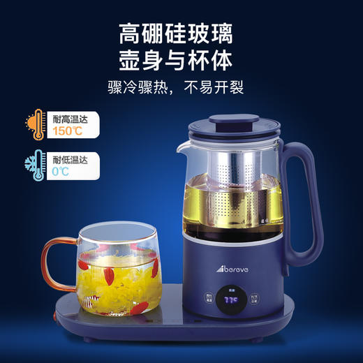 艾贝丽 | 多功能养生壶 ABL-YSH001小家电 商品图4
