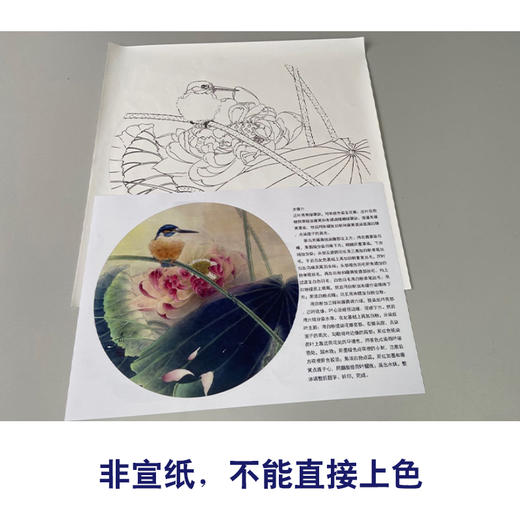 【有步骤】龚雪青工笔画白描底稿圆形小品《荷花翠鸟图》初学者临摹花鸟线稿XQ93 商品图2