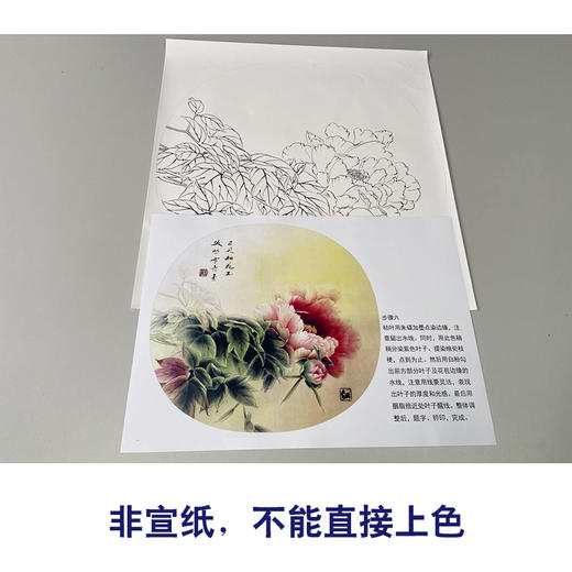 【有步骤】龚雪青工笔画白描底稿圆形小品《轻纱漫天》牡丹图初学者临摹花鸟线稿XQ94 商品图2