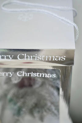 HXW圣诞树手提袋（单个装） 商品图4