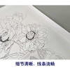【有步骤】龚雪青工笔画白描底稿斗方小品《落愁》荷花花瓶图初学者临摹花鸟线稿XQ83 商品缩略图4
