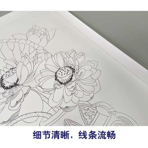 【有步骤】龚雪青工笔画白描底稿斗方小品《落愁》荷花花瓶图初学者临摹花鸟线稿XQ83 商品图4