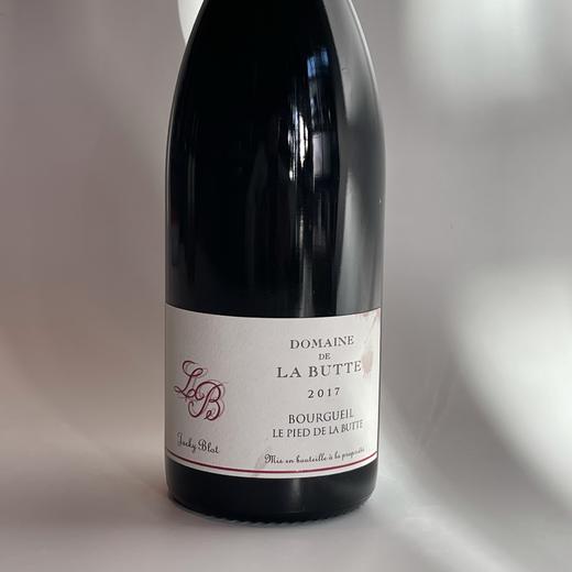 丘岗酒庄山底干红葡萄酒 2017 Domaine de la Bourgueil le Pied de la Butte2017 商品图0