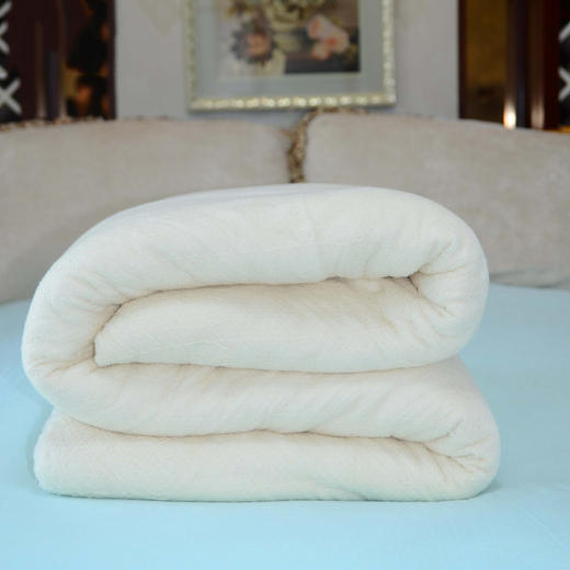 【床上用品】-新疆棉花被芯被子棉被棉絮褥子 加厚秋冬盖被 商品图1