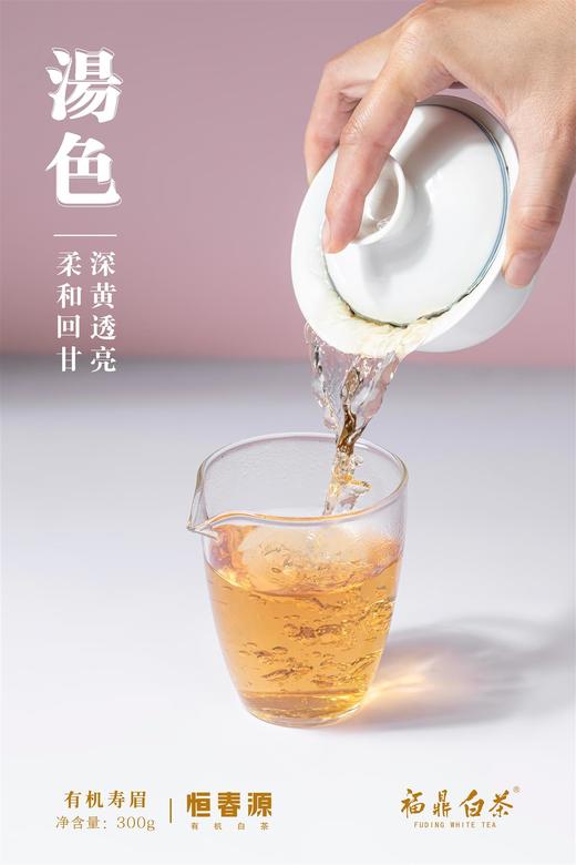 有机福鼎白茶 300g  初品 2016年有机寿眉支持自提 商品图2