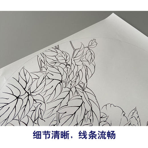 【有步骤】龚雪青工笔画白描底稿圆形小品《轻纱漫天》牡丹图初学者临摹花鸟线稿XQ94 商品图4
