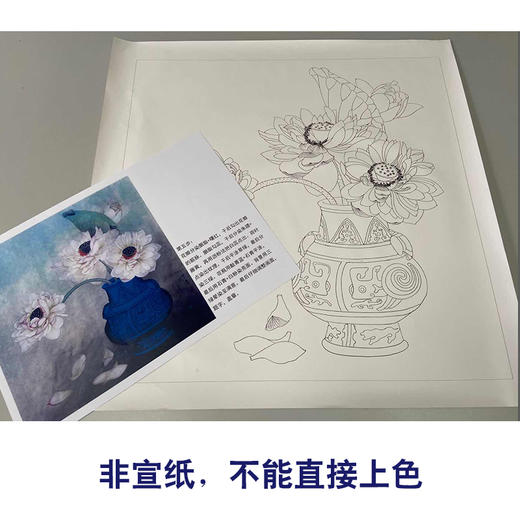 【有步骤】龚雪青工笔画白描底稿斗方小品《落愁》荷花花瓶图初学者临摹花鸟线稿XQ83 商品图2