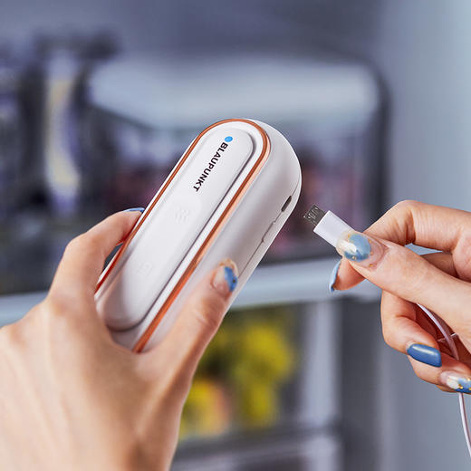 德国蓝宝家用便携抑菌净味器净化保鲜除味器杀菌臭氧机去味除臭棒除异味神器 商品图1