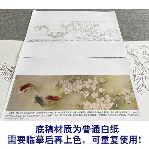 【有步骤、大彩图】龚雪青横幅工笔画白描底稿《玉堂锦致图》鲤鱼玉兰花初学者临摹花鸟线稿XQ97 商品图3