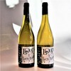 百花园 狼趣干白葡萄酒 Domaine de l’Hortus Jean ORLIAC Loup Y Es-Tu ? Blanc Vin de France 2018 商品缩略图1