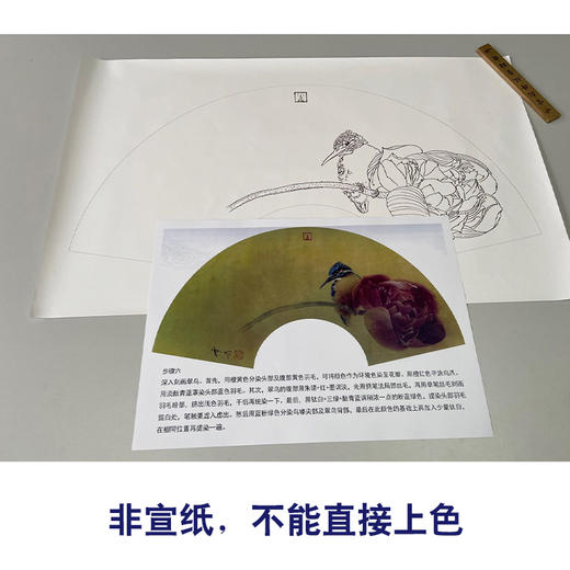 【有步骤】龚雪青工笔画白描底稿扇面小品《荷花翠鸟图》初学者临摹花鸟线稿XQ92 商品图2