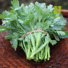 菊花菜（400g）小叶菊花菜味偏苦 商品缩略图0