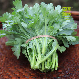 菊花菜（400g）小叶菊花菜味偏苦