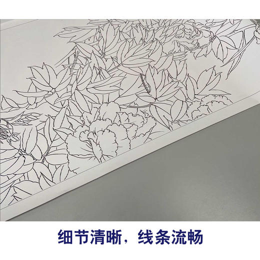 【有步骤、大彩图】龚雪青横幅工笔画白描底稿《富贵多来图》牡丹鲤鱼图初学者临摹花鸟线稿XQ95 商品图4
