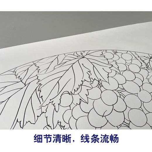 【有步骤】龚雪青工笔画白描底稿扇面小品《葡萄红雀图》初学者临摹花鸟线稿XQ89 商品图4