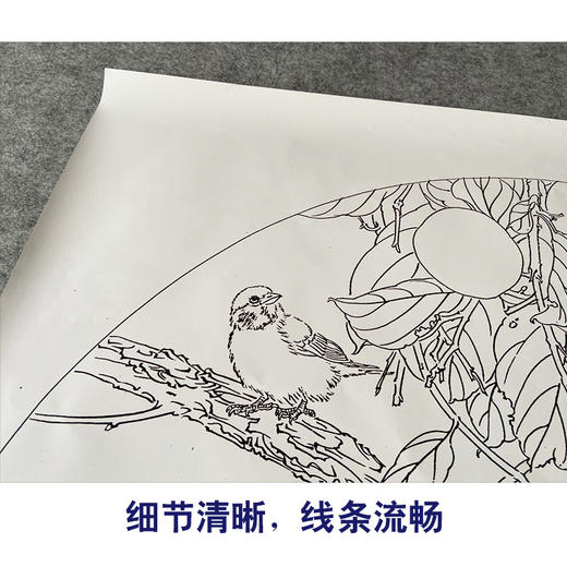 【有步骤、大彩图】龚雪青工笔画白描底稿扇面小品《雀柿如意》柿子麻雀初学者临摹花鸟线稿XQ90 商品图4