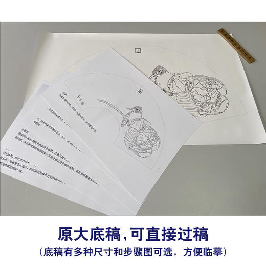 【有步骤】龚雪青工笔画白描底稿扇面小品《荷花翠鸟图》初学者临摹花鸟线稿XQ92 商品图1