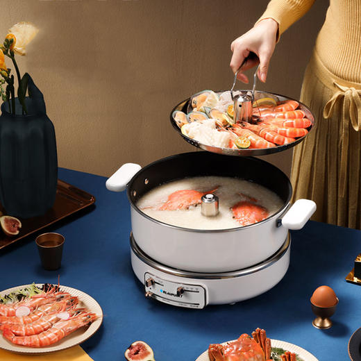 德国蓝宝家用多功能料理锅升降火锅电烤锅烧烤炉网红烤肉早餐一体锅电火锅 商品图4