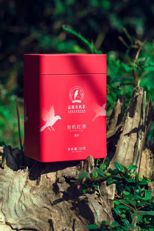 滇红大叶种功夫红茶 50g 有机认证  铁罐包装支持自提 商品图1