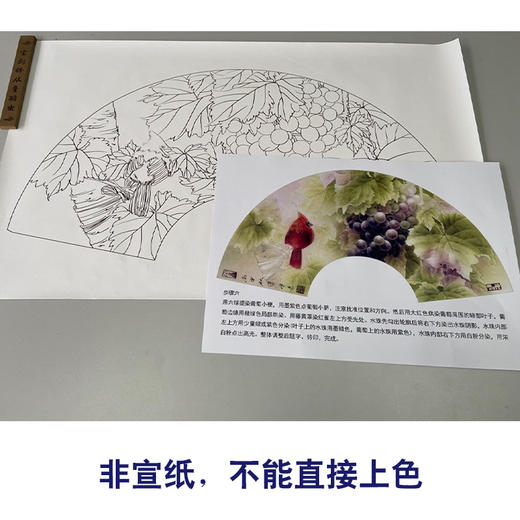 【有步骤】龚雪青工笔画白描底稿扇面小品《葡萄红雀图》初学者临摹花鸟线稿XQ89 商品图2