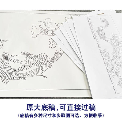 【有步骤、大彩图】龚雪青横幅工笔画白描底稿《玉堂锦致图》鲤鱼玉兰花初学者临摹花鸟线稿XQ97 商品图1