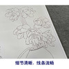 【有步骤】龚雪青竖幅工笔画白描底稿《幽香图》荷花初学者临摹花鸟线稿XQ87 商品缩略图4