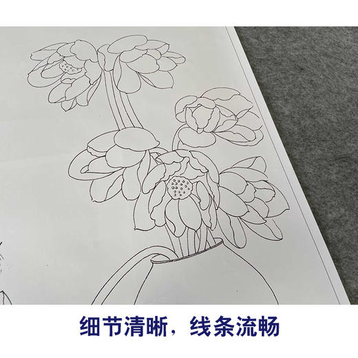 【有步骤】龚雪青竖幅工笔画白描底稿《幽香图》荷花初学者临摹花鸟线稿XQ87 商品图4