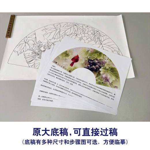 【有步骤】龚雪青工笔画白描底稿扇面小品《葡萄红雀图》初学者临摹花鸟线稿XQ89 商品图1