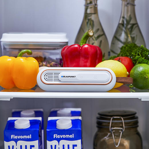 德国蓝宝家用便携抑菌净味器净化保鲜除味器杀菌臭氧机去味除臭棒除异味神器 商品图5