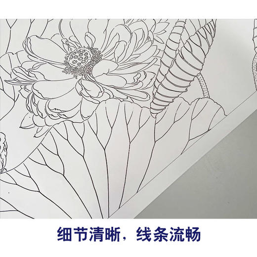 【有步骤、大彩图】龚雪青横幅工笔画白描底稿《连年有余图》荷花鲤鱼图初学者临摹花鸟线稿XQ98 商品图4