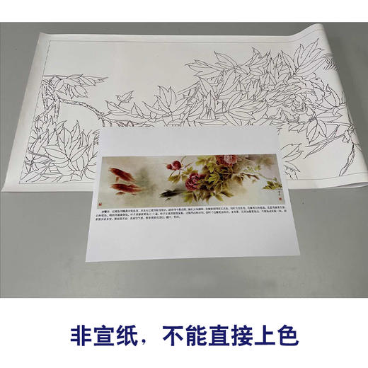 【有步骤、大彩图】龚雪青横幅工笔画白描底稿《富贵多来图》牡丹鲤鱼图初学者临摹花鸟线稿XQ95 商品图2