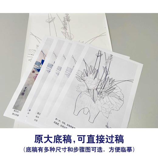 【有步骤】龚雪青工笔画白描底稿《花溢清香》荷花螳螂图初学者临摹花鸟线稿XQ81 商品图1