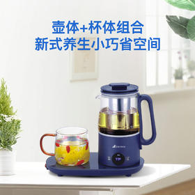 艾贝丽 | 多功能养生壶 ABL-YSH001小家电