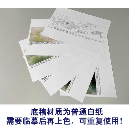 【有步骤、大彩图】龚雪青横幅工笔画白描底稿《连年有余图》荷花鲤鱼图初学者临摹花鸟线稿XQ98 商品图3